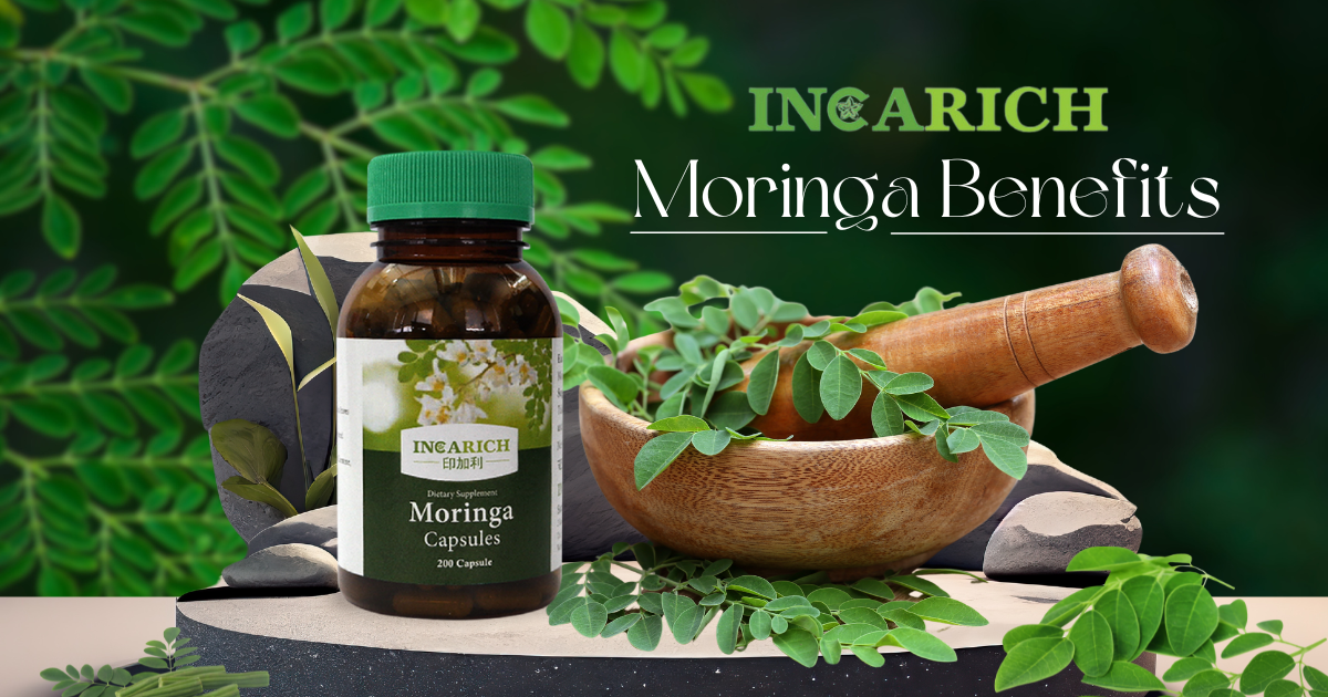 Incarich - Moringa Benefits